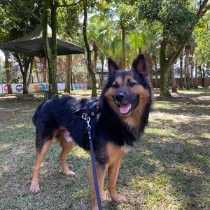 Meet your Posher, Tsai-chin